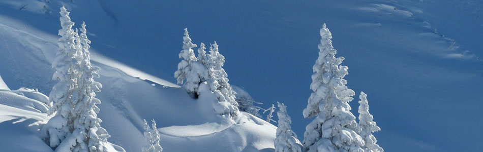 攻击网站的方法